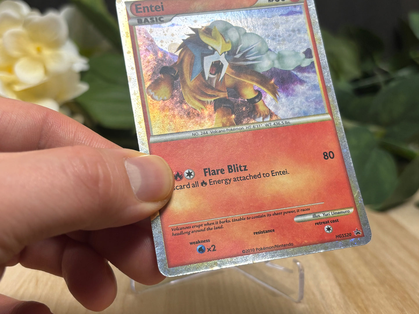Entei Shiny *Swirl* - Promo #HGSS20 - LP