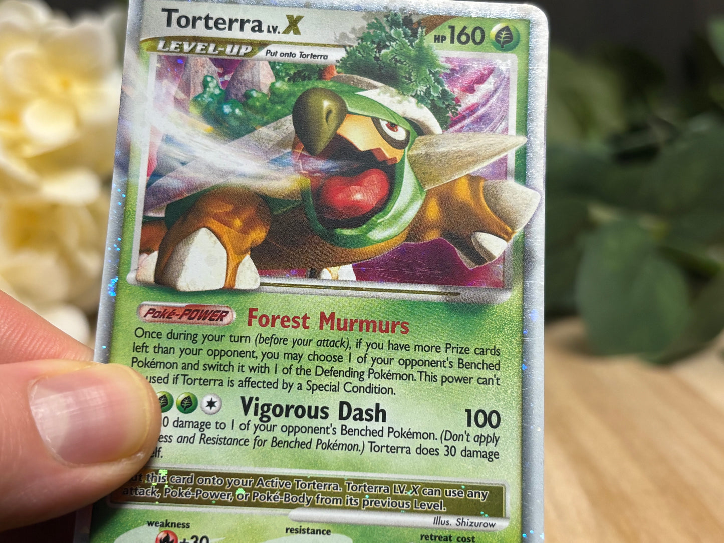 Torterra Lv.X - Promo #DP09 - LP